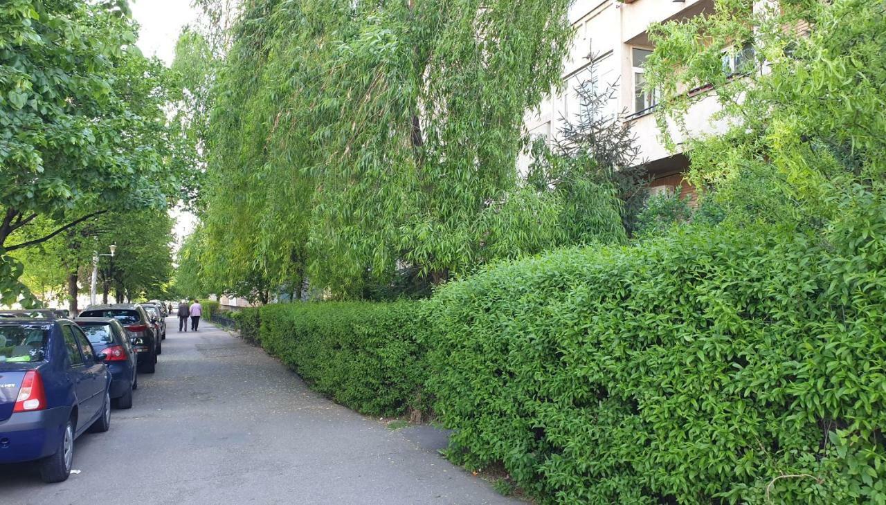 Spectacular Home Ploiesti Bagian luar foto